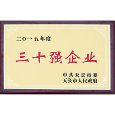 三十強企業(yè)